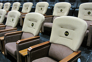 exective-seat